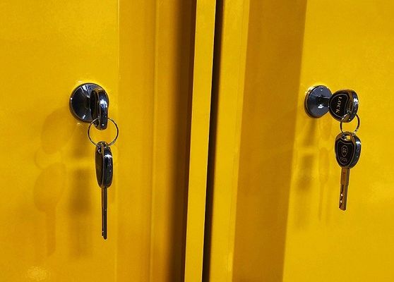 kaufen Chemikalienspeicher mit 109x46x123CM, 109x46x165CM und 109x86x165CM für die Lagerung gefährlicher Stoffe Online-Herstellung